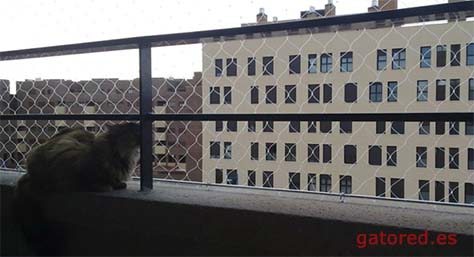 Redes para balcones, ventanas y terrazas | Gatored